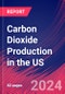 Carbon Dioxide Production in the US - Industry Market Research Report - Product Thumbnail Image