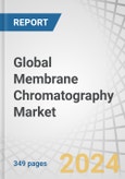 Global Membrane Chromatography Market by Product (Cartridges, Capsules, Cassettes, Syringe Filters, Spin Column), Technique (Ion Exchange, Affinity), Operation Mode (Flow Through, Bind Elute), Material (PES, Cellulose, Hydrogel) - Forecast to 2029- Product Image