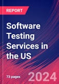 Software Testing Services in the US - Industry Market Research Report- Product Image