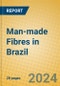 Man-made Fibres in Brazil - Product Image