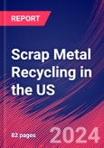 Scrap Metal Recycling in the US - Industry Market Research Report- Product Image