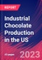 Industrial Chocolate Production in the US - Industry Market Research Report - Product Thumbnail Image