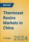 Thermoset Resins Markets in China - Product Thumbnail Image