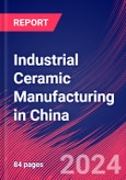 Industrial Ceramic Manufacturing in China - Industry Market Research Report- Product Image