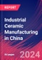 Industrial Ceramic Manufacturing in China - Industry Market Research Report - Product Thumbnail Image