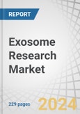 Exosome Research Market by Product & Service (Kits, Reagents (Antibodies, Isolation Purification), Instruments), Indication (Cancer, Infectious Diseases), Application (Biomarkers, Vaccines), Manufacturing Services (Stem cell) - Forecast to 2028- Product Image