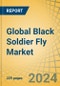 Global Black Soldier Fly Market Size, Share, Forecast, & Trends Analysis by Product, Application, and Geography - Forecast to 2033 - Product Image