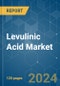 Levulinic Acid - Market Share Analysis, Industry Trends & Statistics, Growth Forecasts 2019 - 2029 - Product Image