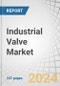 Industrial Valve Market - Globe, Ball, Butterfly, Plug, Check, Gate, Diaphragm, Safety, Needle, Pinch, & Solenoid Valve, Fluid (Liquid, Gas, Slurry), Actuator (Electric, Pneumatic, Hydraulic), Material (Steel, Aluminum, Nickel) - Global Forecast to 2029 - Product Image