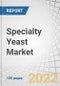 Specialty Yeast Market by Type (Yeast Extracts, Yeast Autolysates, Yeast Beta-glucan, Other Yeast Derivatives), Species (Saccharomyces Cerevisiae, Pichia Pastoris, Kluyveromyces), Application and Region - Forecast to 2027 - Product Thumbnail Image