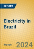 Electricity in Brazil- Product Image