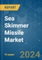 Sea Skimmer Missile - Market Share Analysis, Industry Trends & Statistics, Growth Forecasts 2019 - 2029 - Product Image