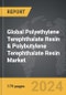 Polyethylene Terephthalate (PET) Resin & Polybutylene Terephthalate (PBT) Resin - Global Strategic Business Report - Product Thumbnail Image
