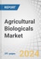 Agricultural Biologicals Market by Type (Biocontrol, Biostimulants, Biofertilizers), Source (Microbials, Macrobials, Semiochemicals, Natural Products), Mode of Application (Foliar Spray, Seed Treatment, Soil Treatment) - Global Forecast to 2029 - Product Thumbnail Image