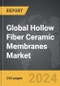 Hollow Fiber Ceramic Membranes - Global Strategic Business Report - Product Thumbnail Image
