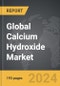 Calcium Hydroxide - Global Strategic Business Report - Product Thumbnail Image