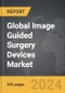 Image Guided Surgery Devices - Global Strategic Business Report - Product Thumbnail Image