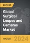 Surgical Loupes and Cameras - Global Strategic Business Report - Product Thumbnail Image