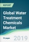 Global Water Treatment Chemicals Market - Forecasts from 2019 to 2024 - Product Thumbnail Image