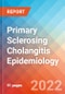 Primary Sclerosing Cholangitis - Epidemiology Forecast - 2032 - Product Thumbnail Image