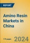 Amino Resin Markets in China - Product Thumbnail Image