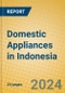 Domestic Appliances in Indonesia - Product Thumbnail Image