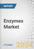 Enzymes Market by Product Type (Industrial Enzymes and Specialty Enzymes), Source (Microorganism, Plant, and Animal), Type, Industrial Enzyme Application, Specialty Enzymes Application, Reaction Type and Region - Forecast to 2029- Product Image