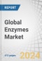 Global Enzymes Market by Product Type (Industrial Enzymes and Specialty Enzymes), Source (Microorganism, Plant, and Animal), Type, Industrial Enzyme Application, Specialty Enzymes Application, Reaction Type and Region - Forecast to 2029 - Product Image