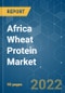 Africa Wheat Protein Market - Growth, Trends, COVID-19 Impact, and Forecasts (2022 - 2027) - Product Thumbnail Image