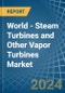 World - Steam Turbines and Other Vapor Turbines - Market Analysis, Forecast, Size, Trends and Insights - Product Image