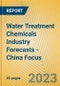 Water Treatment Chemicals Industry Forecasts - China Focus - Product Thumbnail Image