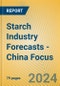 Starch Industry Forecasts - China Focus - Product Thumbnail Image