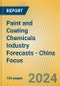 Paint and Coating Chemicals Industry Forecasts - China Focus - Product Thumbnail Image