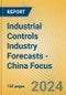 Industrial Controls Industry Forecasts - China Focus - Product Image