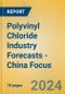 Polyvinyl Chloride Industry Forecasts - China Focus - Product Image