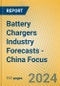 Battery Chargers Industry Forecasts - China Focus - Product Thumbnail Image