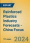 Reinforced Plastics Industry Forecasts - China Focus - Product Thumbnail Image