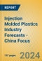 Injection Molded Plastics Industry Forecasts - China Focus - Product Thumbnail Image
