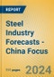 Steel Industry Forecasts - China Focus - Product Thumbnail Image
