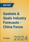 Gaskets & Seals Industry Forecasts - China Focus - Product Thumbnail Image