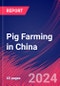 Pig Farming in China - Industry Market Research Report - Product Image