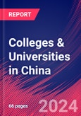 Colleges & Universities in China - Industry Market Research Report- Product Image