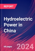 Hydroelectric Power in China - Industry Market Research Report- Product Image