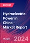 Hydroelectric Power in China - Industry Market Research Report - Product Thumbnail Image