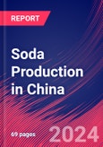 Soda Production in China - Industry Market Research Report- Product Image