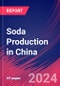 Soda Production in China - Industry Market Research Report - Product Thumbnail Image