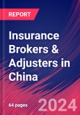 Insurance Brokers & Adjusters in China - Industry Market Research Report- Product Image