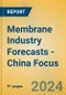 Membrane Industry Forecasts - China Focus - Product Thumbnail Image