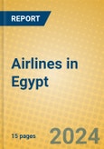 Airlines in Egypt- Product Image