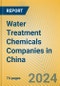 Water Treatment Chemicals Companies in China - Product Thumbnail Image